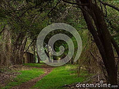 Small shed tucked away just off a walking trail Stock Photo