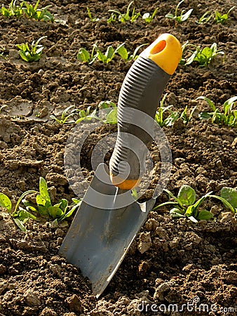 Small shovel Stock Photo