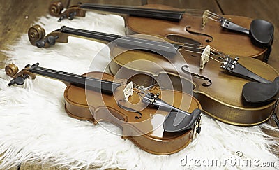 The small size of violin put in front of blurred bigger violins,show detail of acoustic instrument Stock Photo