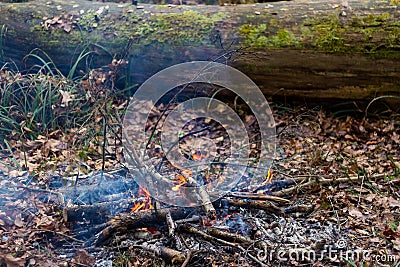 Small smoking bonfire in the autumn forest Stock Photo