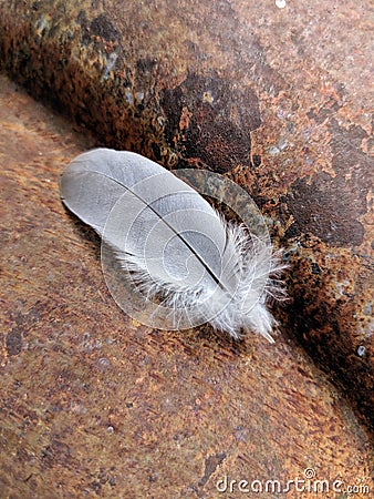 A Small Soft Feather On A Rusty Tractor Stock Photo