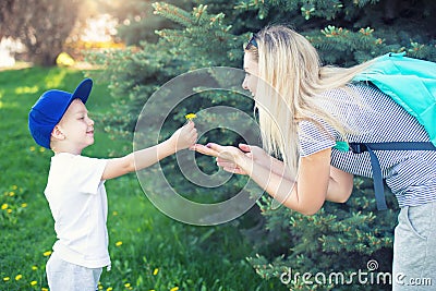 A small son gives his mother a dandelion. Stock Photo