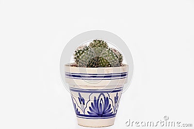 Small sphere cactus in clay pot painted Andalusian style Stock Photo