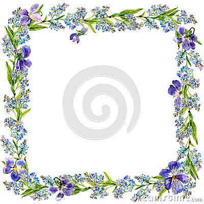 Blue spring flowers in the garden. Frame of forget-me-nots and violets. Watercolor. Stock Photo