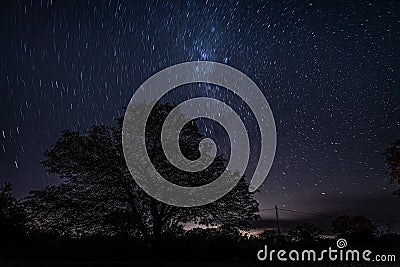 Small star trails made by Earth`s movement showing the silhouette of a leafy tree on the middle of the night Stock Photo