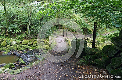 Small stone footbridge in jumble hole clough in west yorkshire Stock Photo