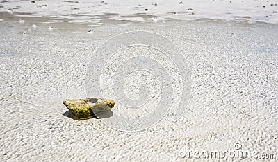 Small stone and sea Stock Photo