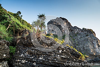 Small stones with written initials left by people on Nui Bay beach, part of iconic tropical Phi Phi island Stock Photo