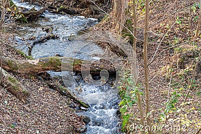 Small stormy river flowing in the forest. Clear stream running through green plants. Stock Photo