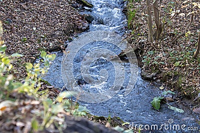 Small stormy river flowing in the forest. Clear stream running through green plants. Stock Photo