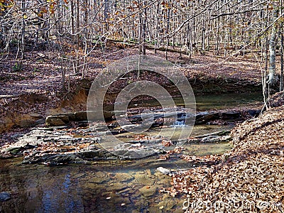 Stream in William B. Umstead State Park Stock Photo