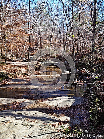 Stream in William B. Umstead State Park Stock Photo