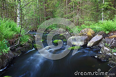 Small stream in forest Stock Photo