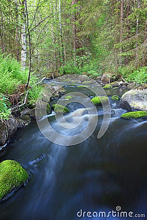 Small stream in forest Stock Photo