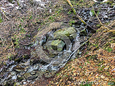 Small stream with rocks and frozen water icicles but still streaming in a forest landscape in winter season Stock Photo