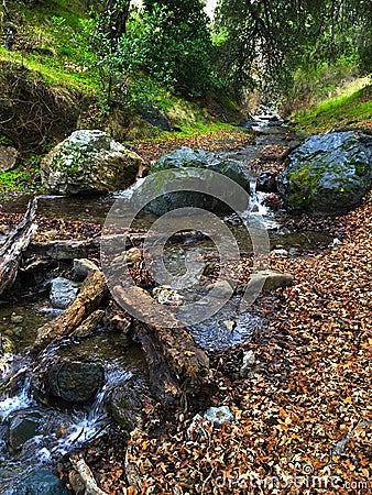 Small stream Stock Photo