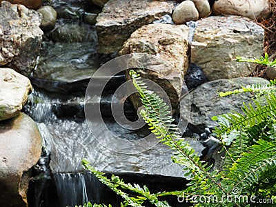 Small Stream With Slate And Rocks And Fern Frond Stock Photo