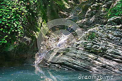 Small streamlet feeding lake with stagnant water among the jungle forests Stock Photo