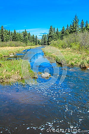 From the roadside, Riding Mountain National Park, Manitoba, Canada Stock Photo