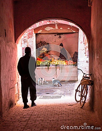 Small street in Marrakech medina. Editorial Stock Photo