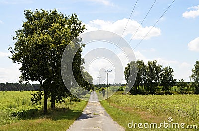 Small street between meadows and fields in the Lueneburg Heath LÃ¼neburger Heide Stock Photo
