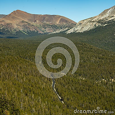 Small Stretch of Tioga Road Through The Thick Forest Stock Photo