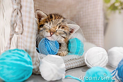 A small striped kitten sleeps on balls of yarn and thread Stock Photo