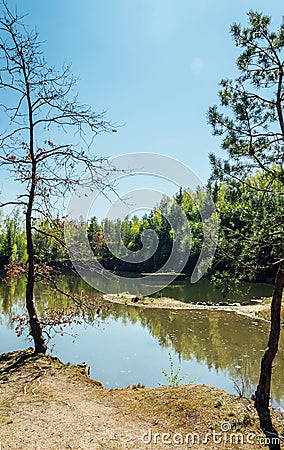 Small swamped quarry through two trees with water and blue sky, Czech republic Stock Photo