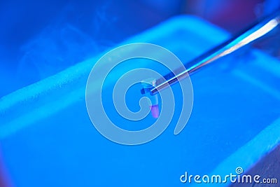 Small test tube with biomaterial is clamped with tweezers Stock Photo