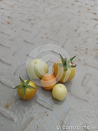 small tomatoes resulting from gardening Stock Photo