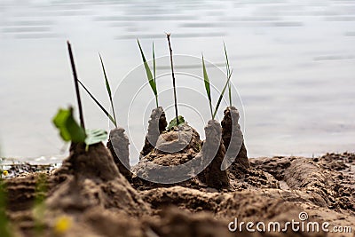 Sand scultpture on the bech Stock Photo