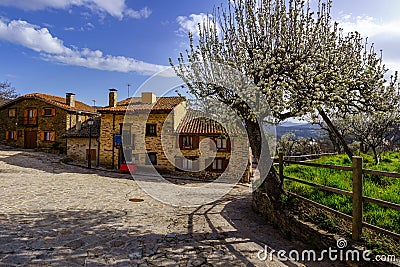 Small town houses next to garden with flowering trees and blue sky. La Hiruela, Madrid Stock Photo