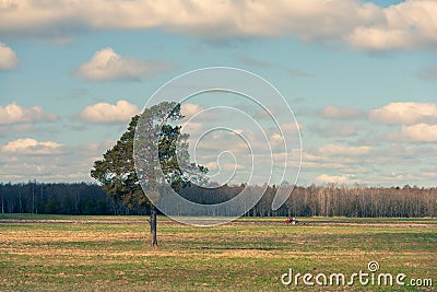 A small tractor plows a field in early spring Stock Photo