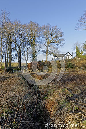 A small traditional White Painted Scottish Cottage on a small Hill above the rough ground of the Valley floor Stock Photo