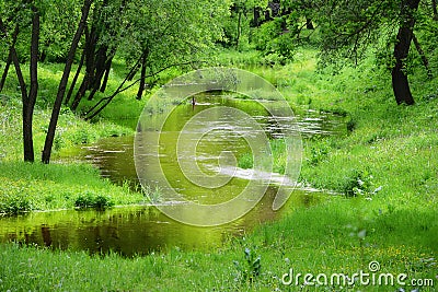 Small tranquil river Stock Photo