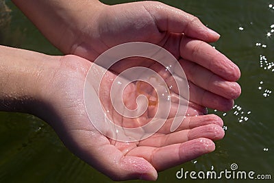 Small transparent jellyfish in ladle of children hands on background of azure sea water with sunlight glows on ripples Stock Photo