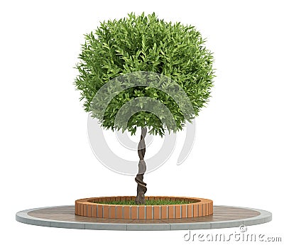 Small tree in a brick flowerbed with grass on white Stock Photo