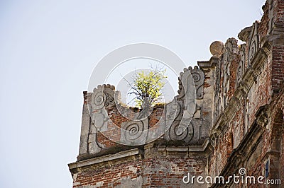 Small tree grows up on the ruins old castle Stock Photo