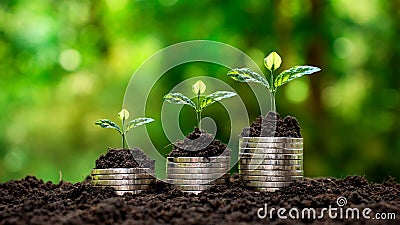 Small trees that are stacked on top of coins. Stock Photo