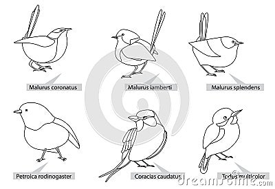 Small tropical birds, real latin names. Black lines, contour style. Illustration can be used for coloring books Vector Illustration