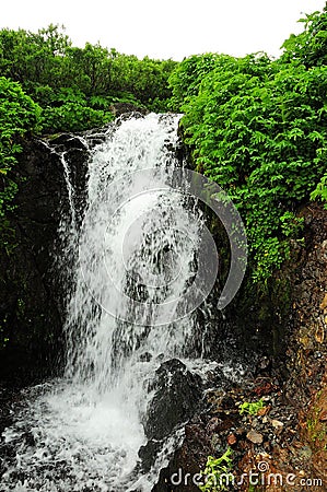 A small, turbulent waterfall flows through a thicket of bushes in a stone channel Stock Photo