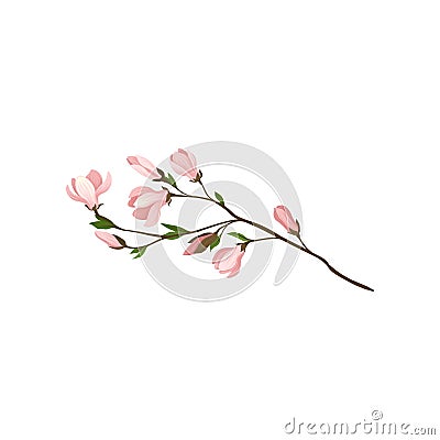 Small twig with beautiful pink flowers and green leaves. Fresh branch of magnolia tree. Detailed flat vector icon Vector Illustration