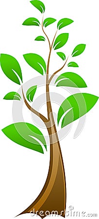 Small vector tree Vector Illustration