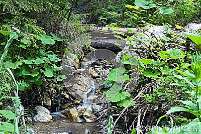 A small water plant somewhere in the Ilanovska valley in Liptov Stock Photo