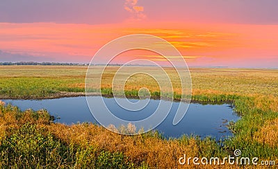 Small water puddle in a prairie Stock Photo