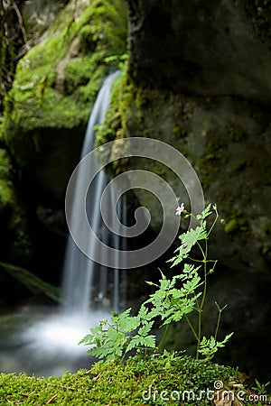 Small waterfall Stock Photo