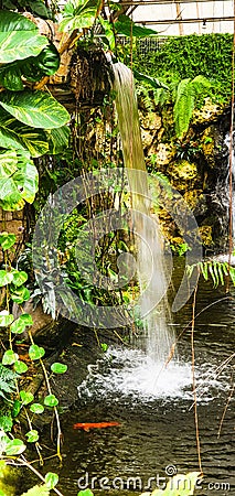 Small waterfall in beautiful botany park Stock Photo