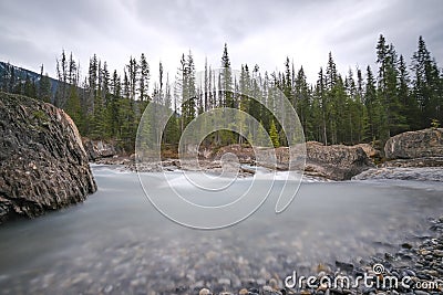 Small waterfall in a forest, Mount Revelstoke National Park bij Revelstoke Stock Photo