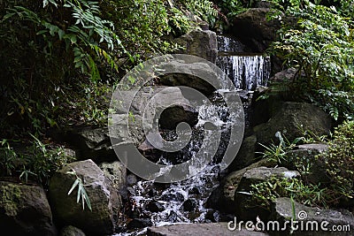 A small waterfall Stock Photo