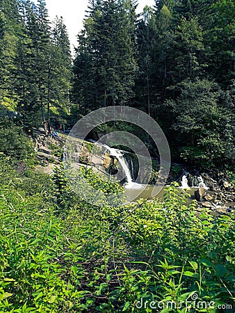 A small waterfall in the middle of a forest in the mountains. Stock Photo